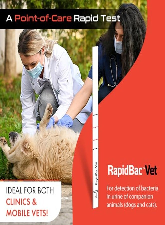 WaterSafe RapidBac™ Vet – 15-Minute at-Home Urine Test for Dogs and Cats to Quickly Screen for UTI Causing Bacteria, 1 Pack - Image 5